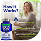 Focus Factor Brain Support Formula