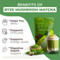 Promotional graphic for RYZé Mushroom Matcha with benefits listed on a green background.