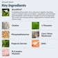 List of key ingredients for a brain supplement with images and descriptions.